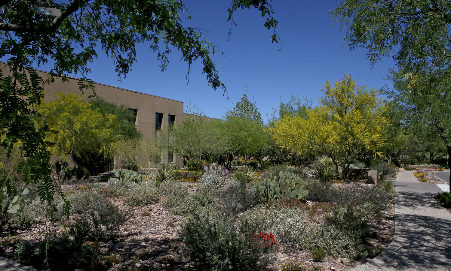 Then and Now in Tucson